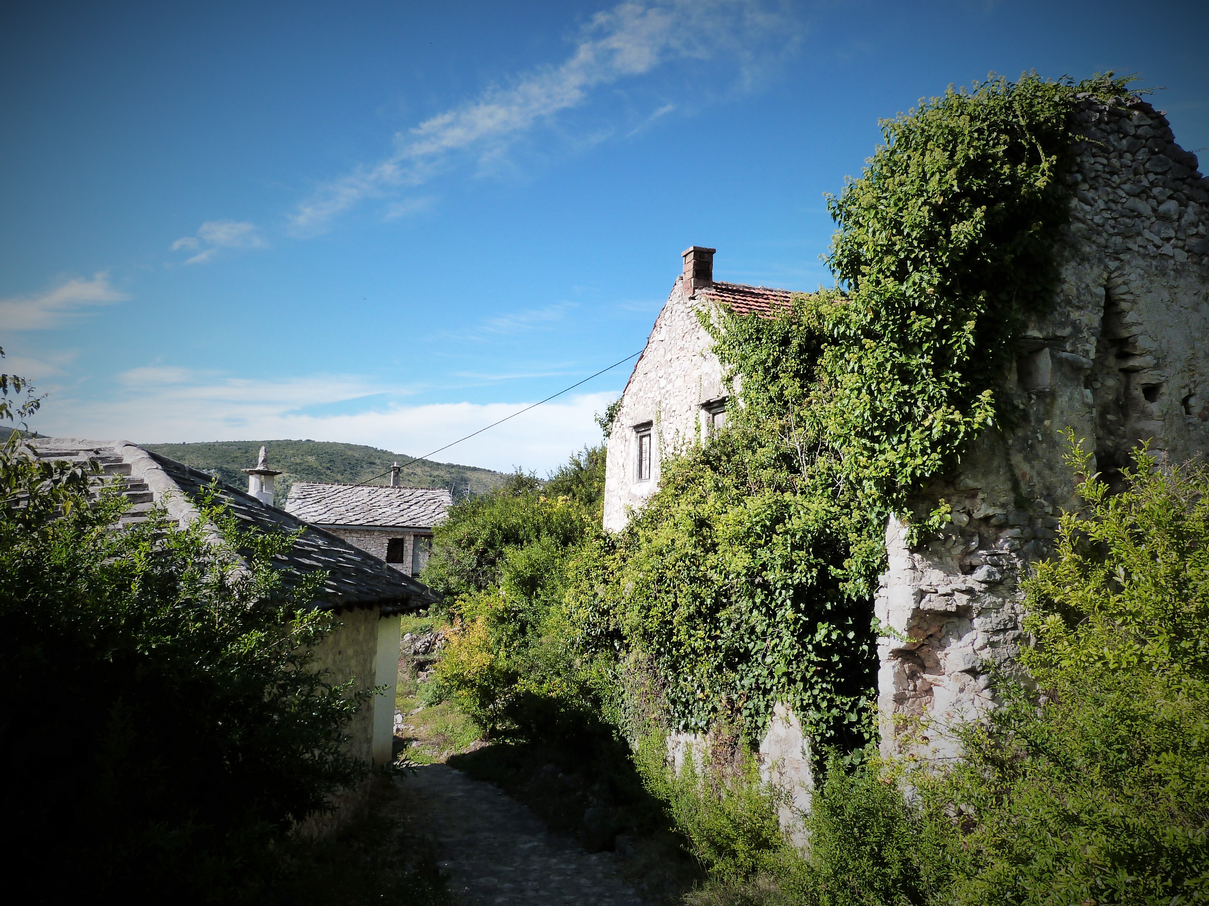 Empty, overgrown houses in abandoned village of Počitelj 